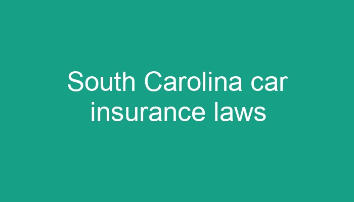 South Carolina car insurance laws