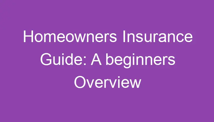 Homeowners Insurance Guide A Beginners Overview 5590